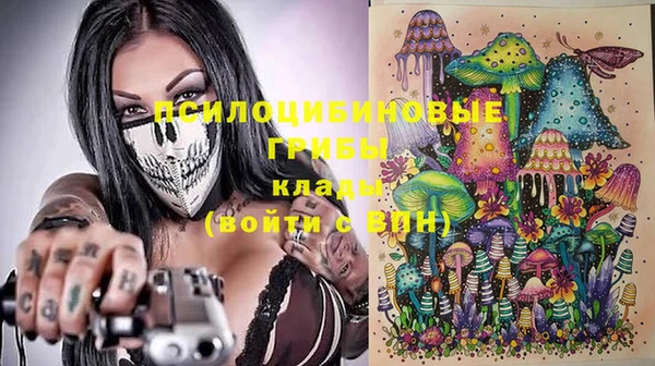 мяу мяу мука Баксан