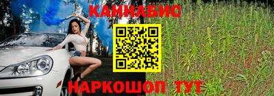 шишки Конаково