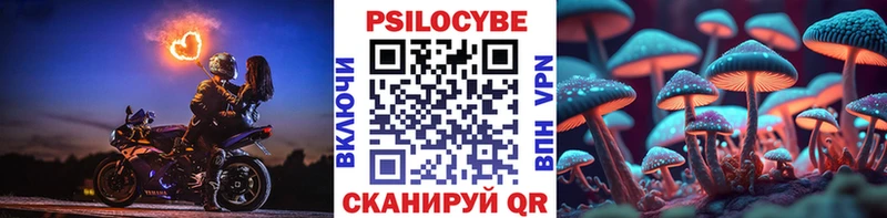 Псилоцибиновые грибы Psilocybine cubensis  где можно купить наркотик  omg ТОР  Кудрово 
