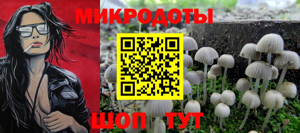 Кудрово  Псилоцибиновые грибы мухоморы  Вход с VPN 